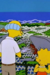 The Simpsons – S08E21 – The Old Man and the Lisa