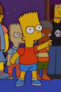 The Simpsons – S10E11 – Wild Barts Can’t Be Broken