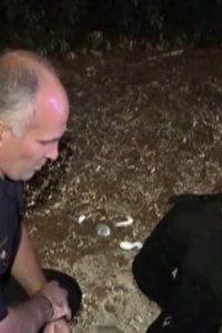Cops – S20E21 – War on Drugs 3