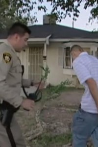 Cops – S20E34 – Stupid Behavior #2 Special Edition