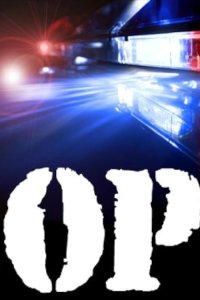Cops – S27E25 – Not My Crack