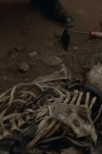Law & Order – S04E08 – American Dream