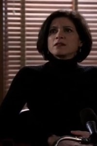 Law & Order – S14E15 – Veteran’s Day