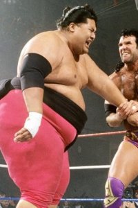 WWE Raw – S02E38 – The Bad Guy Versus the Big Guy