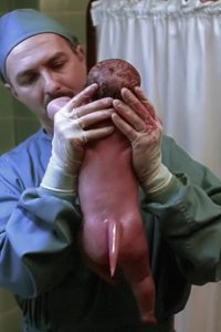 The X-Files – S04E20 – Small Potatoes