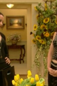 The Nanny – S05E03 – The Bobbi Flekman Story
