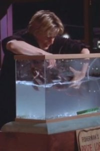 Ellen – S03E18 – Lobster Diary