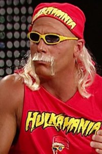 WWE Raw – S12E83 – Hogan’s Heartbreak
