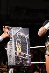 WWE Raw – S19E99 – Punk celebrates 365 days as champion