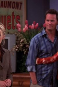 Friends – S10E07 – The One with the Home Study