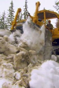 Gold Rush – S01E02 – Gold, Guns and Bears