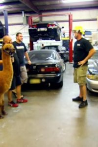 Street Outlaws – S02E07 – Papa’s Got a Brand New Bug