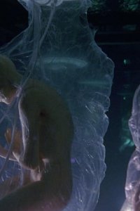 Ancient Aliens – S14E08 – The Reptilian Agenda