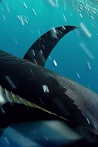 Wicked Tuna – S02E06 – Sweet Smell of Revenge