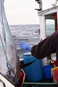 Wicked Tuna – S02E09 – Meltdown