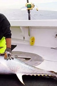 Wicked Tuna – S02E10 – Captain Carnage