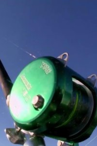Wicked Tuna – S04E10 – When Push Comes to Shove