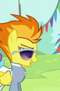 My Little Pony: Friendship Is Magic – S04E10 – Rainbow Falls