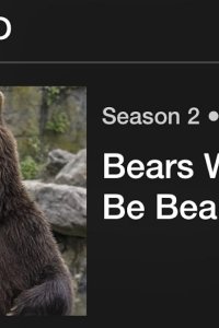 The Zoo – S02E03 – Bears Will Be Bears