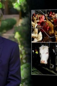 Real Time with Bill Maher – S18E12 – House Speaker Nancy Pelosi; Dr. David Katz; Jay Leno