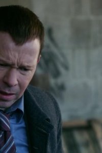 Blue Bloods – S01E17 – Silver Star