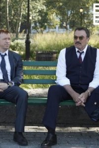 Blue Bloods – S02E02 – Friendly Fire