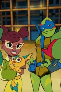 Rise of the Teenage Mutant Ninja Turtles – S01E01 – Mystic Mayhem