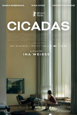 Cicadas