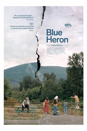 Blue Heron