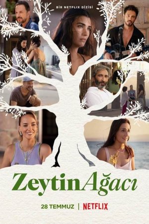 Zeytin Agaci