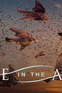 Life in the Air