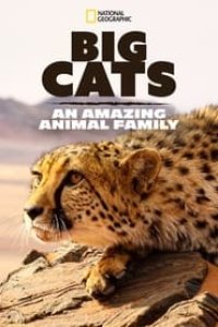 Big Cats: An Amazing Animal Family Season 1 Episode 2