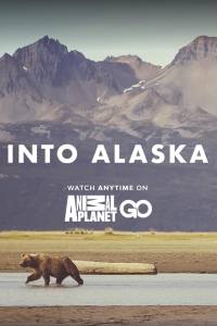 Into Alaska