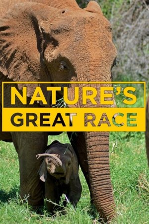 Nature\’s Epic Journeys