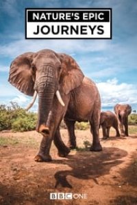 Nature’s Epic Journeys Season 1 Episode 2