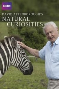 David Attenborough’s Natural Curiosities Season 4 Episode 2