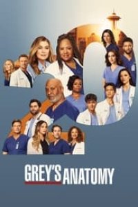 Grey\’s Anatomy Season 13 Episode 17