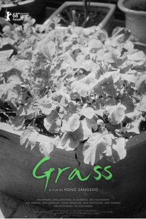 Grass