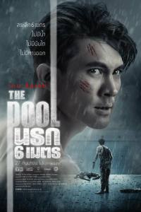 The Pool