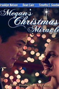 Megan’s Christmas Miracle