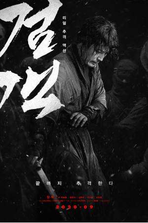 The Swordsman