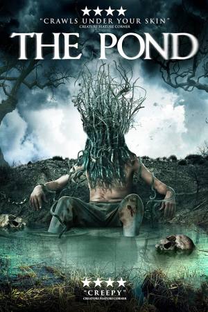 The Pond