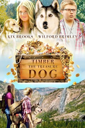 Timber the Treasure Dog