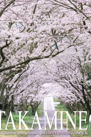 Takamine
