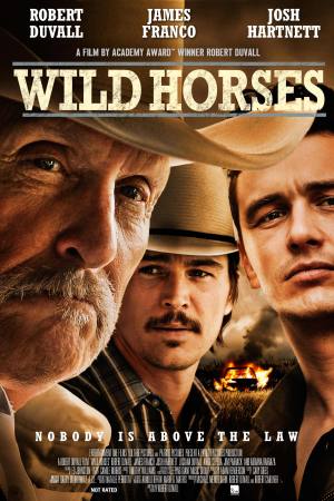 Wild Horses