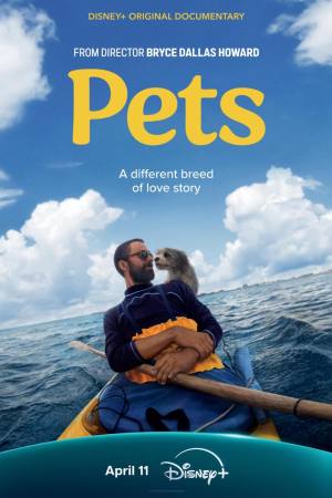 Pets