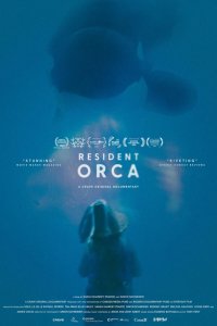 Resident Orca