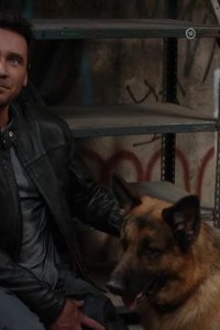 Hudson & Rex – S03E02 – Manhunt
