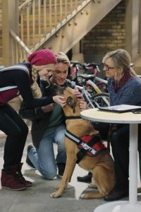 I Didn’t Do It – S02E03 – Lindy Goes to the Dogs