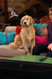 I Didn’t Do It – S02E15 – Doggie Daddy